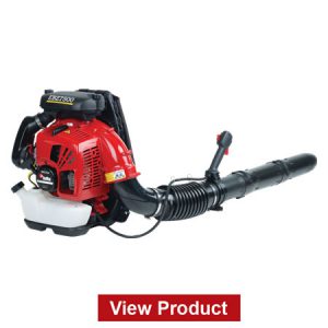 EBZ7500RH Backpack Blowers